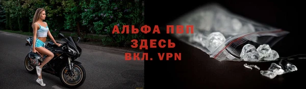 эйфоретик Магас