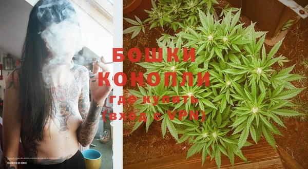 эйфоретик Магас