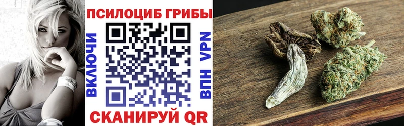 Псилоцибиновые грибы мухоморы Приморско-Ахтарск