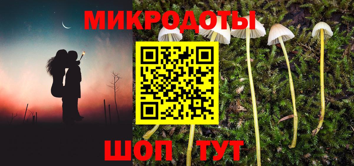 Псилоцибиновые грибы мухоморы  Псилоцибиновые грибы ЛСД  Приморско-Ахтарск  Вход с VPN 