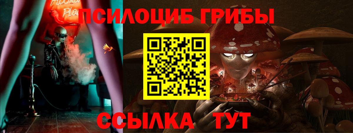 Галлюциногенные грибы мицелий Приморско-Ахтарск