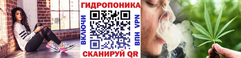 где можно купить   Приморско-Ахтарск  Бошки Шишки Amnesia 